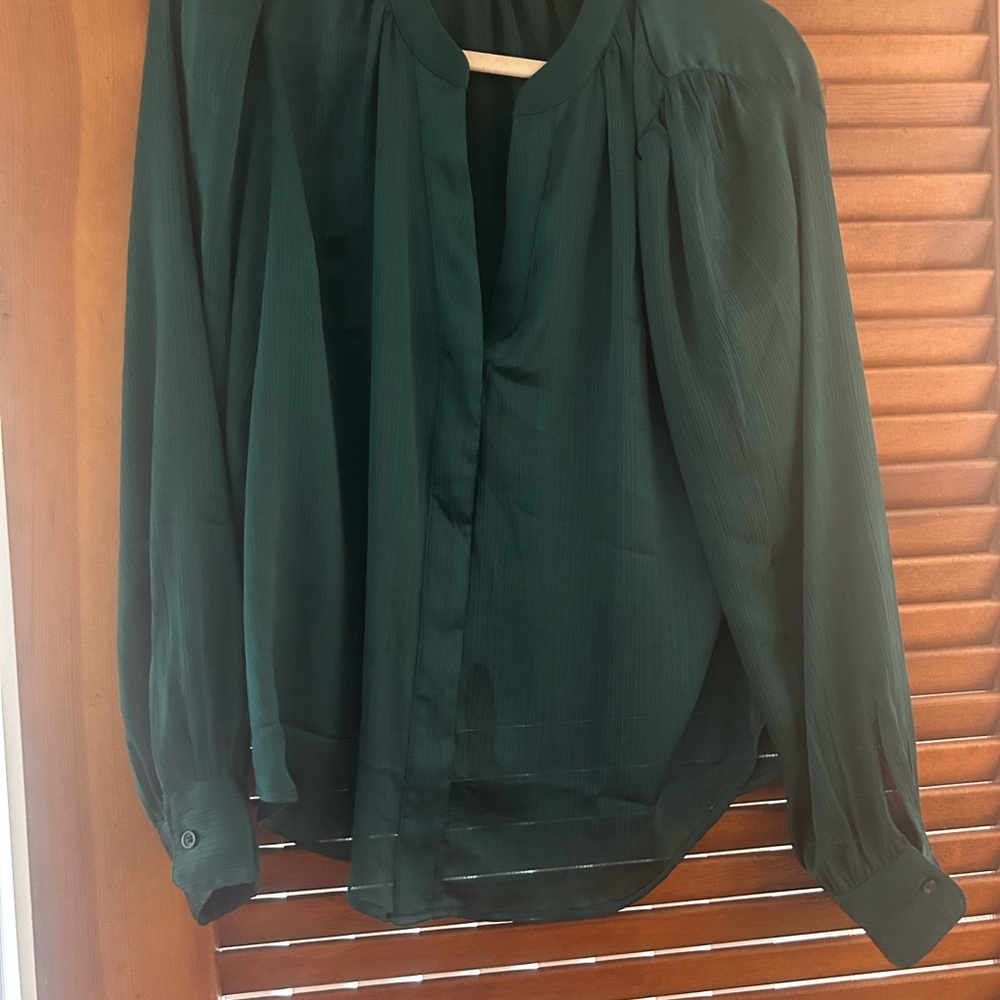 Banana Republic Green Relaxed Buttoned Blouse